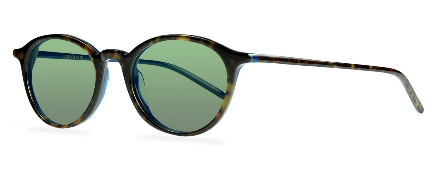 Darcy-Black