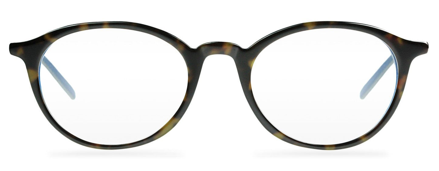 Darcy-Black