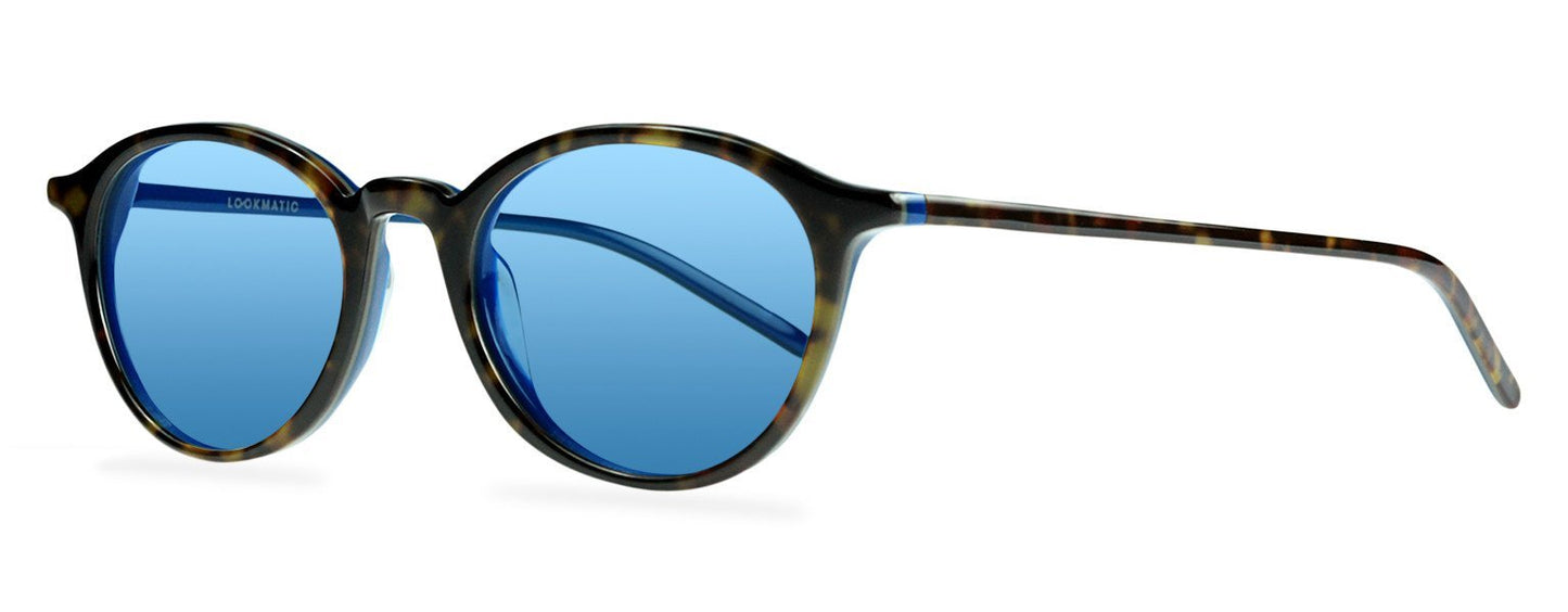 Darcy-Black
