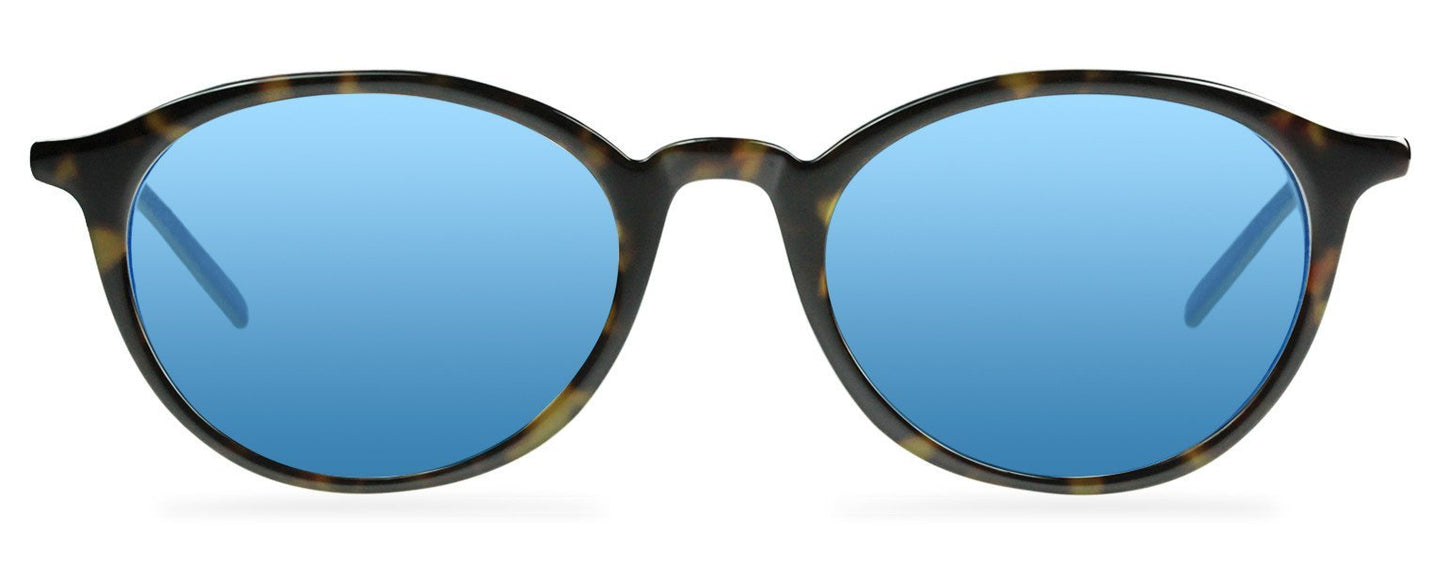Darcy-Black