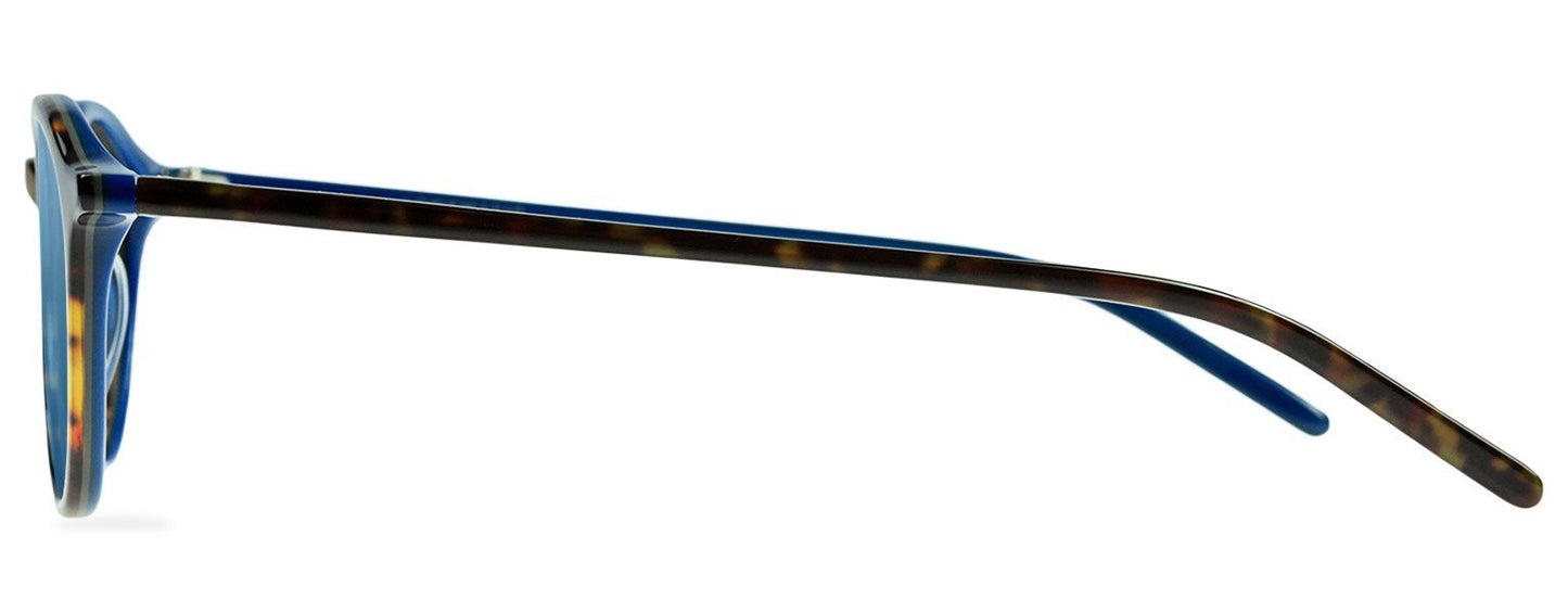 Darcy-Black
