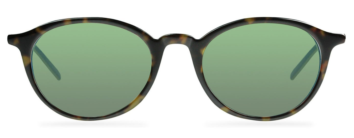 Darcy-Black