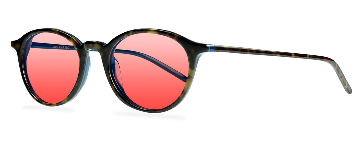 Darcy-Black