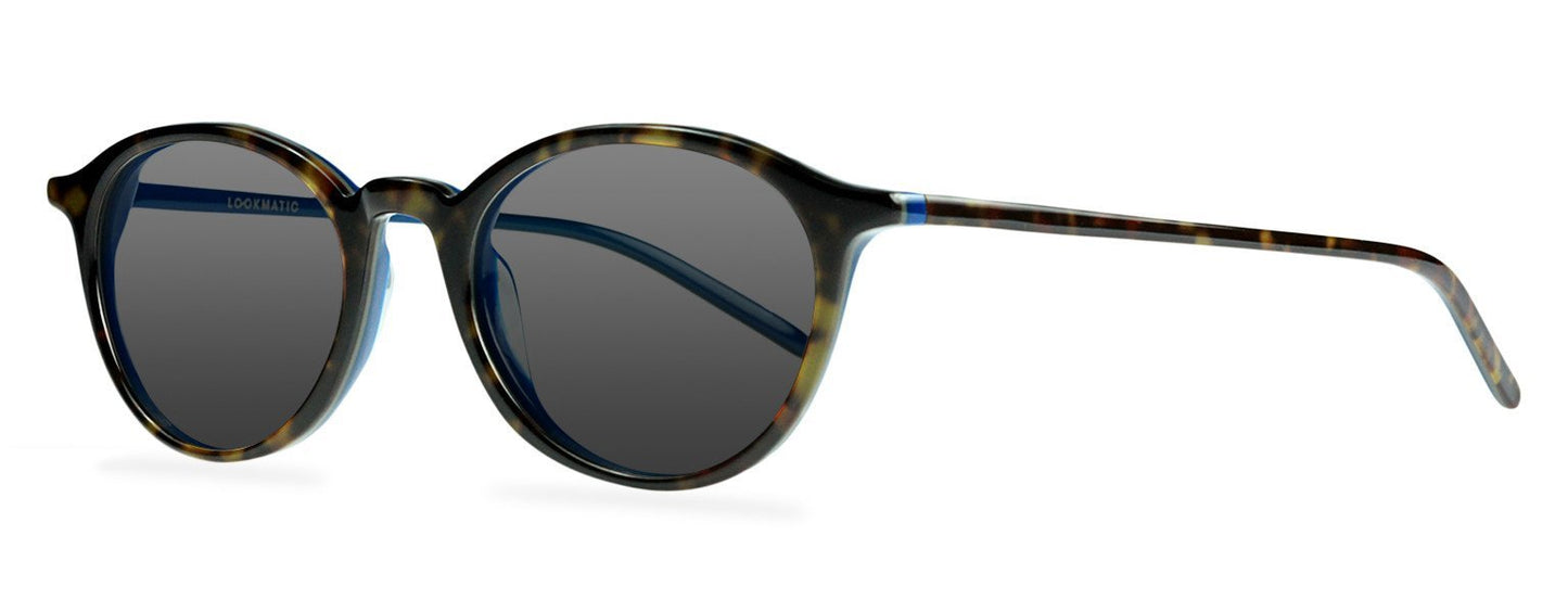 Darcy-Black