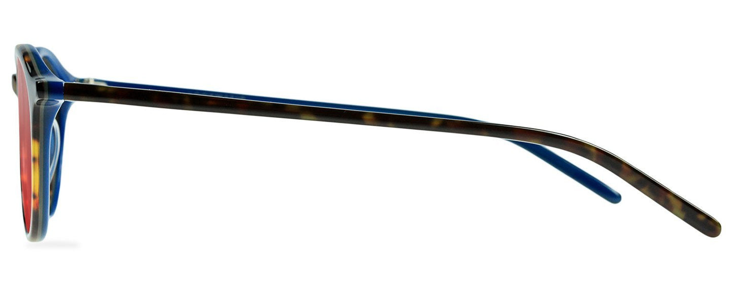Darcy-Black