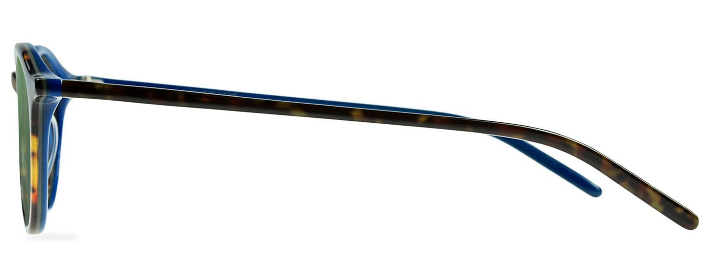 Darcy-Black