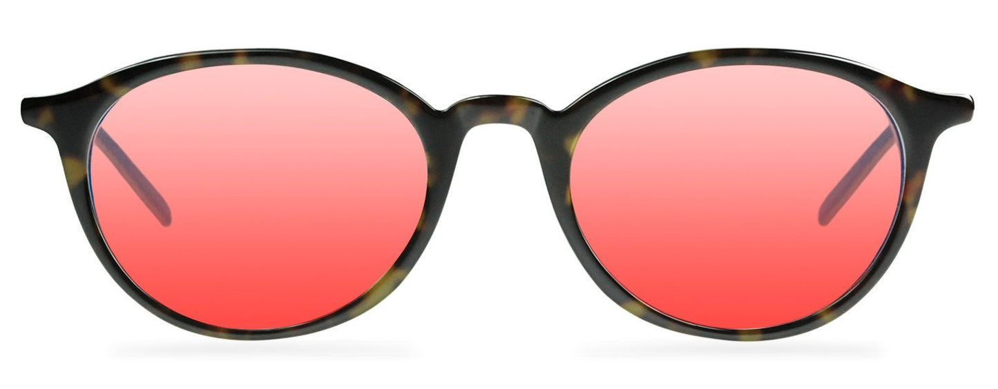 Darcy-Black