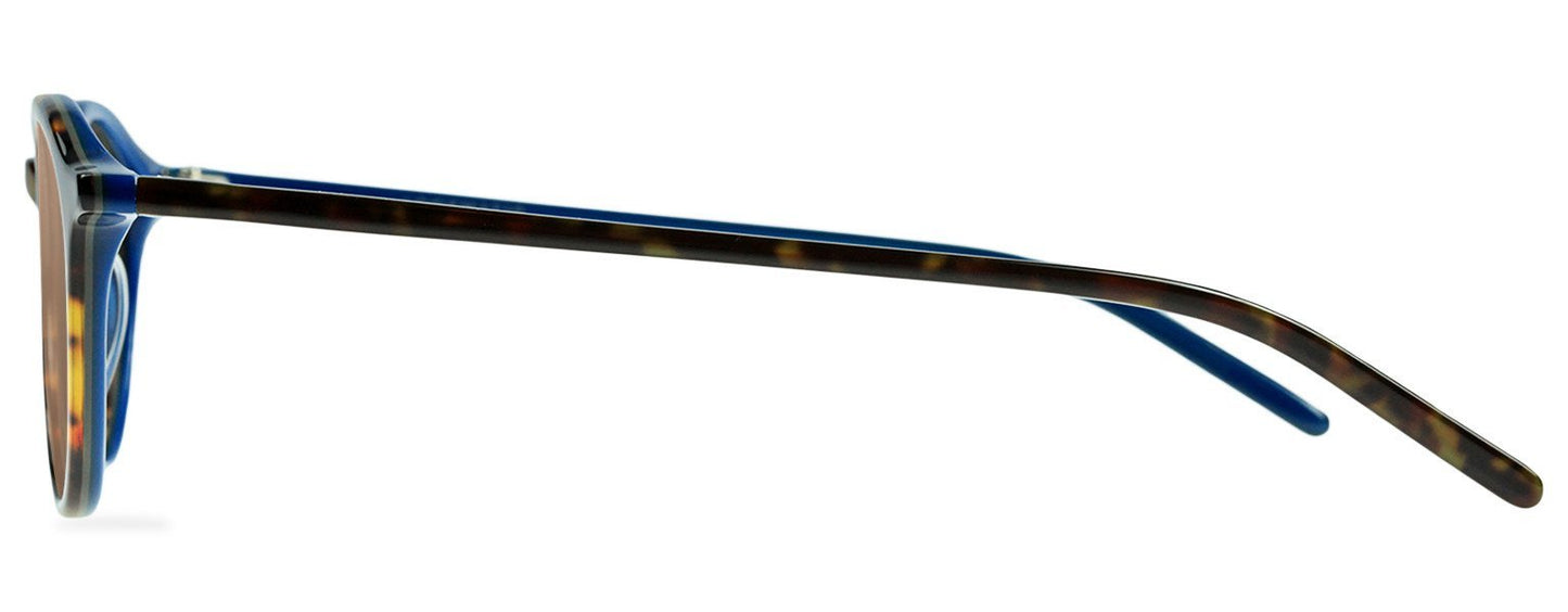 Darcy-Black