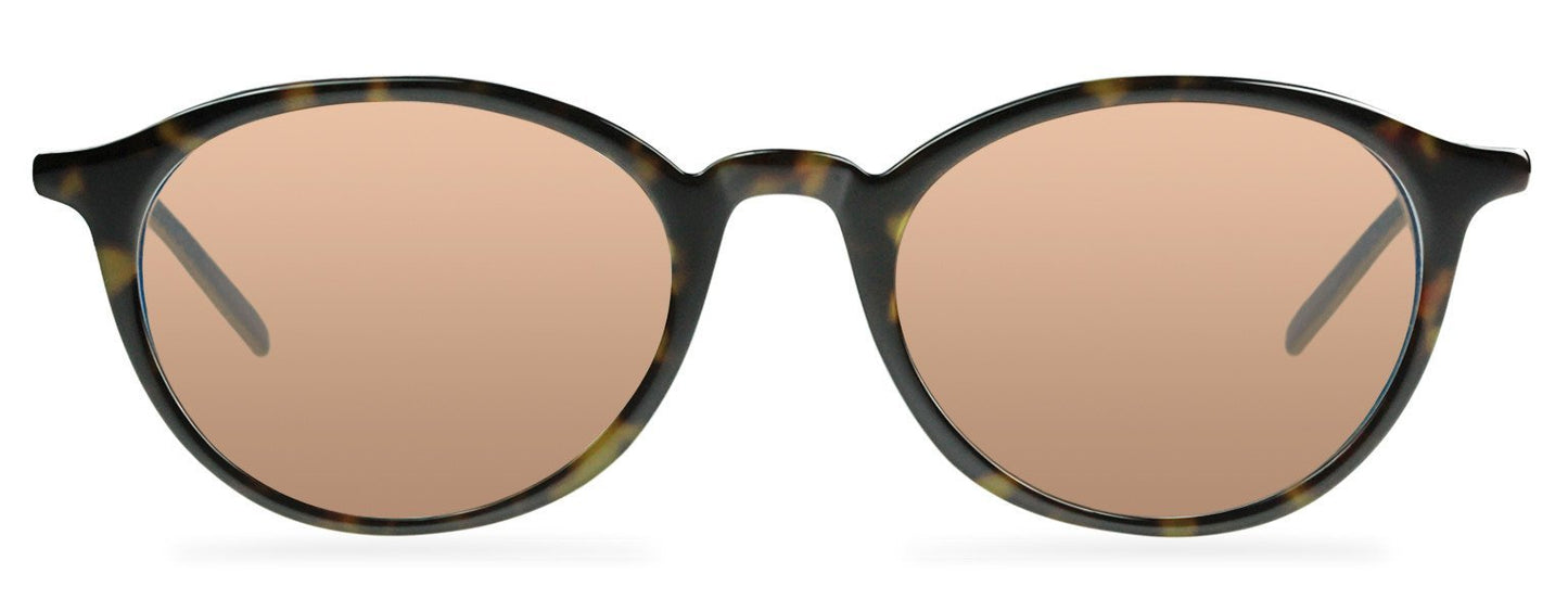 Darcy-Black