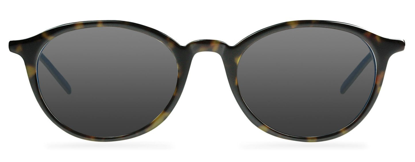 Darcy-Black
