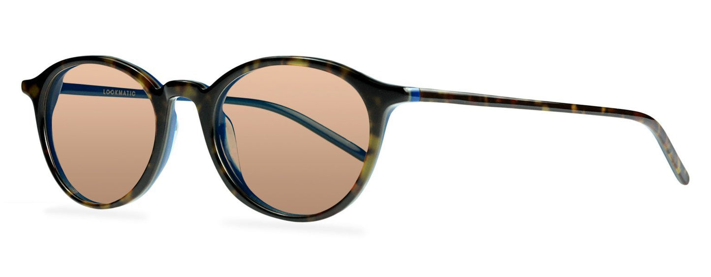 Darcy-Black